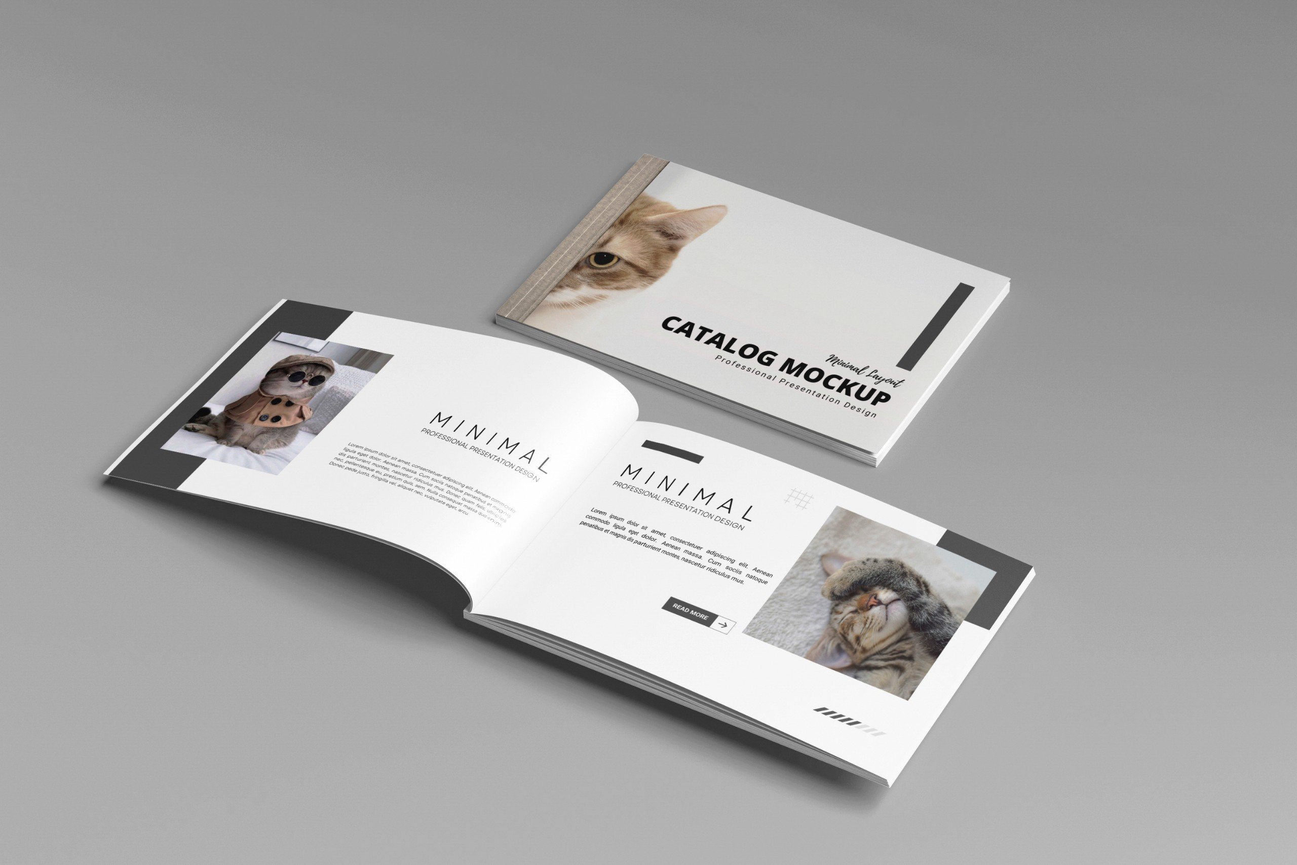 Catalogue